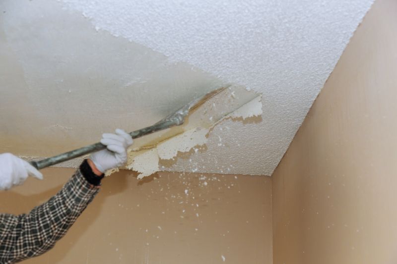 Ceiling Removal Process